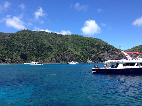 �c�Ǌԏ����̋V�u�z�̐����̊C�̗l�q