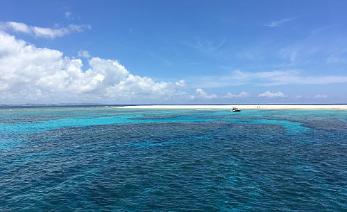 �`�[�r�V�����̃N�G�t��