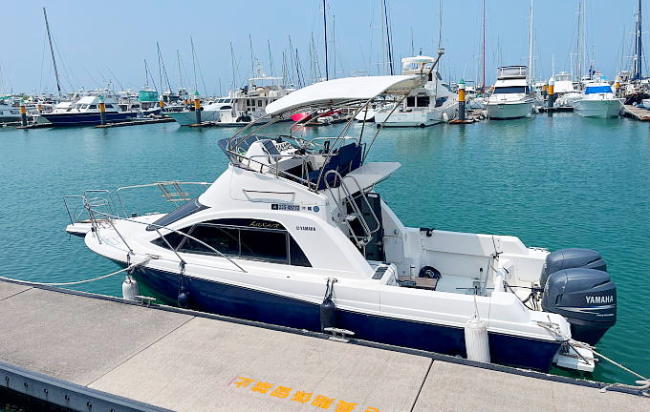 YAMAHA�@���N�V�A�@���㑤�̎ʐ^