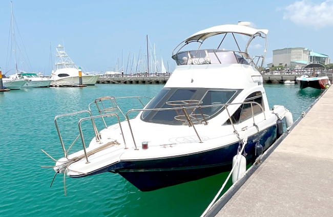 YAMAHA�@���N�V�A�@�O���̎ʐ^