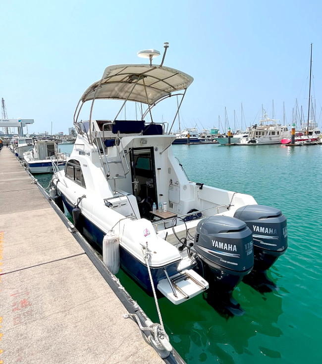 YAMAHA�@���N�V�A�@�㑤�̎ʐ^