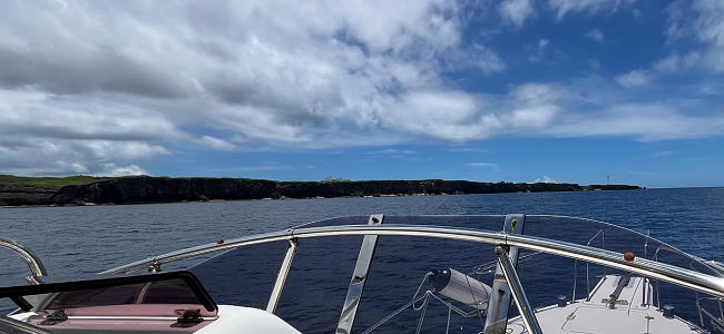 �c�g���̐�ǂ��N���[�W���O���Ɍ����ʐ^